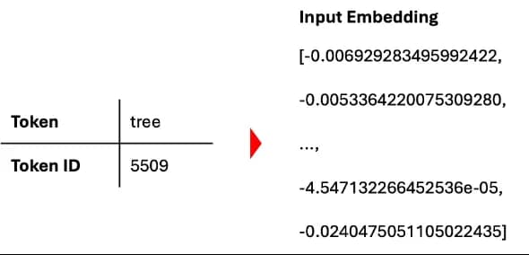 Token Embedding Visualization