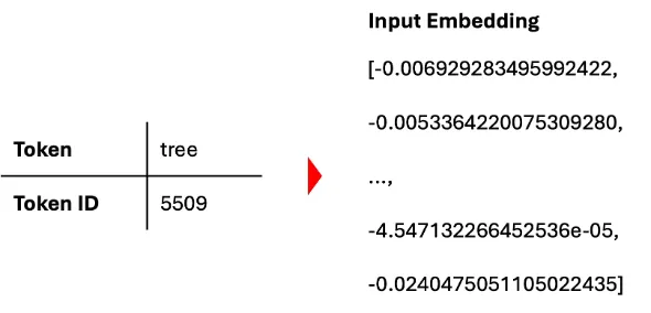 Token Embedding Visualization